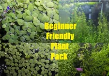 Live Aquarium Plant Pack Bundle~ SUMMER SALE! OVER 7 Species!~50 plants or more