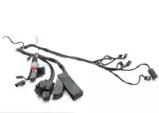 EFI Wiring Harness 2000 Harley-Davidson Road King Classic EFI FLHRCI 1611 (For: 2000 Harley-Davidson Road King)