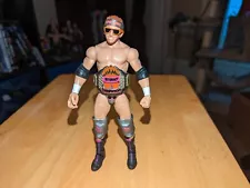 MATTEL WWE ELITE SERIES 17 ZACK RYDER MATT CARDONA LOOSE W/ INTERNET TITLE