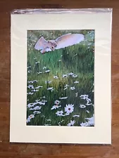 artist prints for sale Hunting In The Daisies