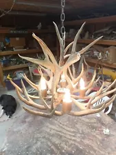 Real Antler Chandelier Mule Deer Antlers Hanging Lamp Ceiling Pendant Rustic