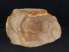 ~RW~ POLISHED "PETRIFIED WOOD STANDUP SPECIMEN" ~~ WEST CENTRAL OREGON~~SALE!!!