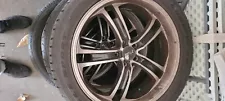 Msr Rims