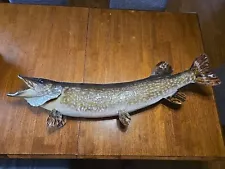 Huge 40" Real Skin Mount Northern Pike Musky Fish Taxidermy