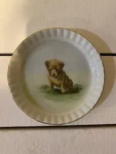 Vintage Hand Painted Norwich Terrier Ring Plate made in Bavaria Germany