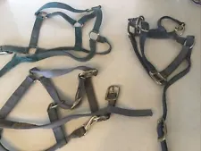 Horse Harness Gear. Medium 800-1100 Pounds. Plus Last Two Pictures
