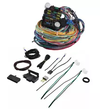 21 Circuit Wiring Harness Long Wires Standalone Wiring Harness Kit