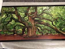 Peter Lik "Tree of Hope" Limited Edition 232/950 Masterwork Rolled 2010 Rare