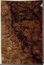 Walnut Burl Wood Veneer 8.5 W x 12.5 L Raw No Backing 1/42 Thickness