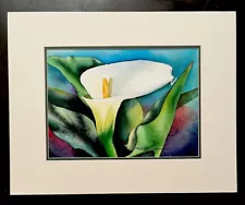 MARILYN JESSUP WATERCOLOR CALLA LILY FLOWERS WHITE YELLOW 13” X10”matted