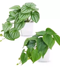 Der Rose 2 Packs Small Fake Plants Artificial Plants for Home Bedroom Aesthetic