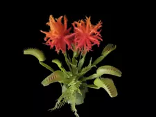 Artificial Venus Fly Trap. Carnivorous Plants Silk Flowers BU