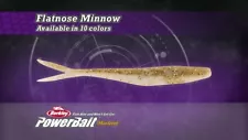 SALE Berkley PowerBait MaxScent Flatnose Minnow Drop Shot Lure 4" - Choose Color