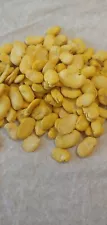 Bulk Peeled Fava Beans 4 lb Habas Beans Gluten Free Dried Beans