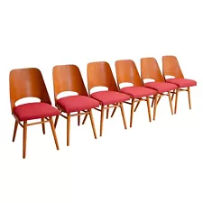 Mid Century dining chairs by Radomír Hofman, 1960´s, set of 6