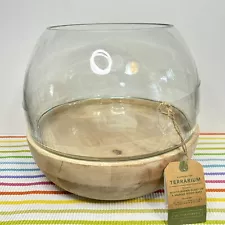 Large Smith & Hawken Terrarium Hand Blown Glass On Mango Wood NWT