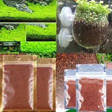 NEW Aquarium Plant Seeds Aquatic Small Leaf Carpet Water Grass Fish Tank Décor