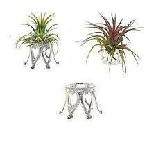 Pack of 3 Silver Air Plant Holder Cute Crystal Tillandsia Display Container