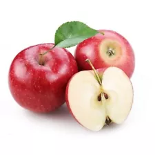 50 Mixed Sweet Apple Seeds Organic Fruit