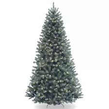 7 ft. North Valley® Blue Spruce Tree with Clear Lights Green