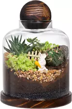 Yangbaga Large Glass Terrarium Succulent Plant Terrarium House for Plant/Moss &