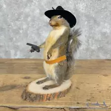 #29482 E | Cowboy Squirrel Novelty Taxidermy Mount For Sale