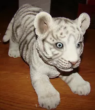 white bengal tiger cub for sale