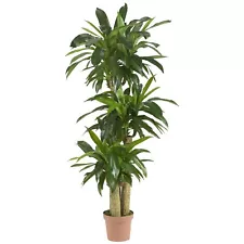 62IN Artificial Corn Stalk Dracaena Plant, Tall Fake Plant for Indoor Home Dé...