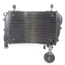 2011-2016 DUCATI STREETFIGHTER 848 Radiator W/ Horn - 54840832B