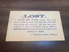 1905 OFFICIAL NOTICE MASS. POLICE LOST BOSTON BULL TERRIER CV29