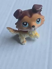 Littlest Pet Shop LPS Collie # 58 Authentic Paw Up, Blue Eyes Blemished