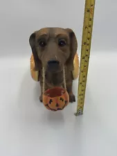 Dachshund In Halloween Costume From Cracker Barrel