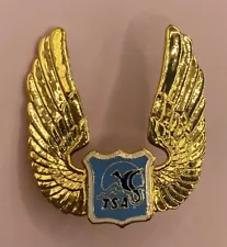 Vintage TSA Airline (yellow Bird) metal wings badge