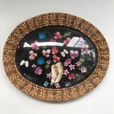 Handmade Vintage Floral Shell Art Framed Art Walled Nature Pictures