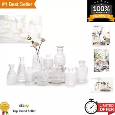 Vintage-Inspired Glass Bud Vase Set: 10 Etched Small Vases for Stylish Display