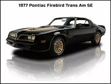 1977 Pontiac Firebird Trans Am SE New Metal Sign: Beautiful Restoration!