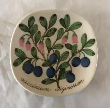 Arabia Finland Esteri Tomula Bog Whortleberry 4.75” Botanical Plate Wall Hanging