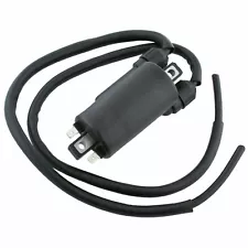 Ignition Coil for Kawasaki Concours 1000 ZG1000 1986-2006 (For: Kawasaki Concours 1000)