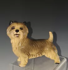 Charming English NORWICH TERRIER Porcelain Figurine ENGLAND Signed 4 1/2"