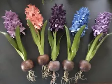 SALE!! Artificial Hyacinth GET all FIVE colors