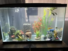 AQUEON LED 29 gallon AQUARIUM KIT 30 x 13 x 19 & * More * ð  Local Pickup NIB