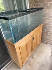 fish tank