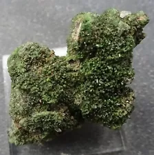 Cuprian Adamite Crystals, Tsumeb Mine, Namibia- Mineral Specimen for Sale