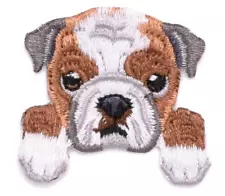 ENGLISH BULLDOG - Puppy Dog - Embroidered Iron On/Sew On Patch - FREE SHIPPING