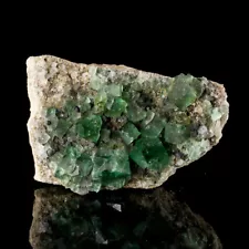 3.6" Blue-Green Glassy Gem Cubic FLUORITE Crystals to .7" Rogerley M UK for sale