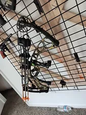 hoyt compound bow right hand used