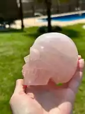 Rose Quartz Skull Hand Carved in Brazil High Quality Rose Quartz