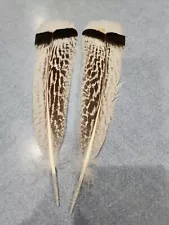 VV38 Matched Pr Royal Palm Turkey Natural Colored Tail Feather