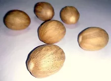 Whole Nutmeg Without Shell Grade A Quality, Organic Herbs & Spices Free Shipping