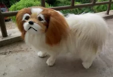 pekingese pomeranian for sale